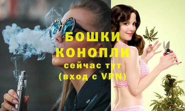 тгк Горняк