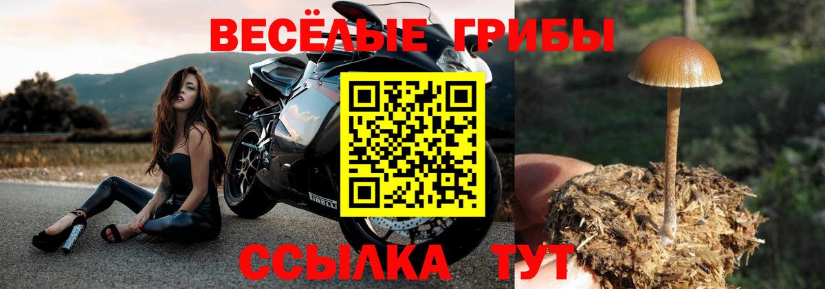Коркино  что такое наркотик  Вход с VPN  Псилоцибиновые грибы Psilocybine cubensis  Галлюциногенные грибы Magic Shrooms 